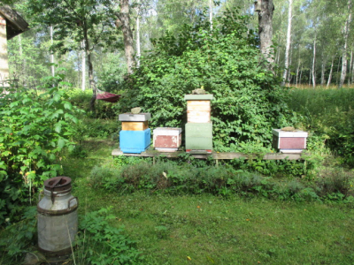 Övrig - 