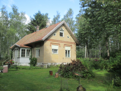 Övrig - 